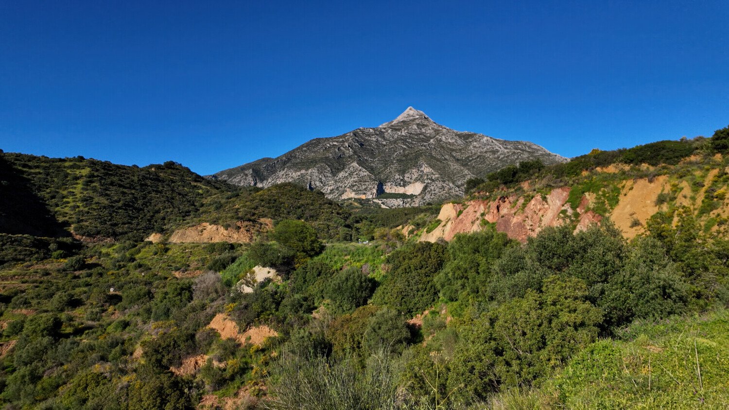 Visiter Marbella : le guide pour planifier votre voyage - 2026 - 16 - Marbella Marbella - Visiter Marbella : le guide pour planifier votre voyage - 2026 - 15