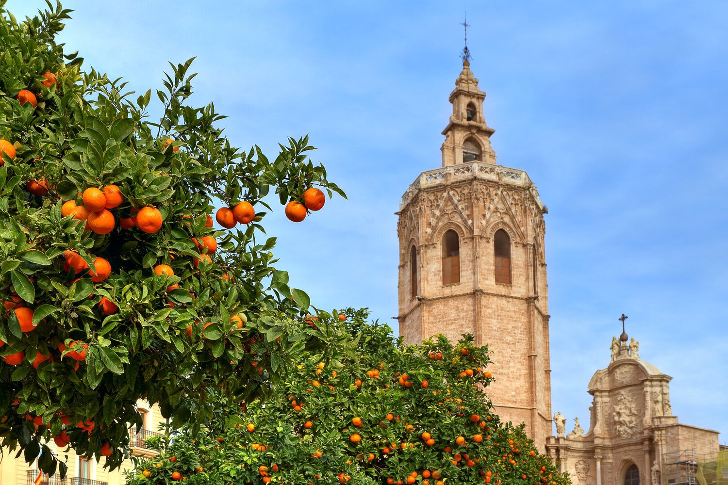 The Best Things to Do in Valencia: Your Ultimate Guide - 2026 - 4 - Things to Do in Valencia Things to Do in Valencia - The Best Things to Do in Valencia: Your Ultimate Guide - 2026 - 3