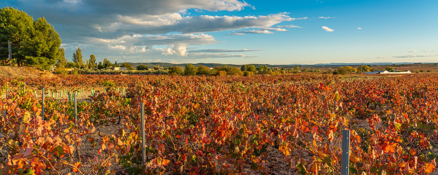 Best Things To Do in Castellón de la Plana: Plan Your Next Trip - 2026 - 12 - Things To Do in Castellón de la Plana Things To Do in Castellón de la Plana - Best Things To Do in Castellón de la Plana: Plan Your Next Trip - 2026 - 11