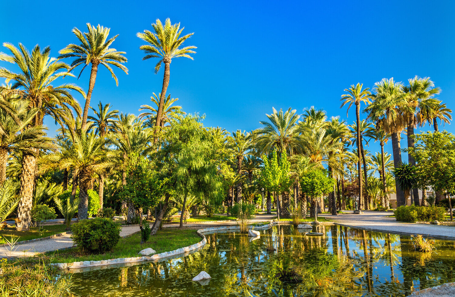 Top Things to Do in Elche: The Essentials For Your Day Trip - 2026 - 4 - things to do in elche things to do in elche - Top Things to Do in Elche: The Essentials For Your Day Trip - 2026 - 3