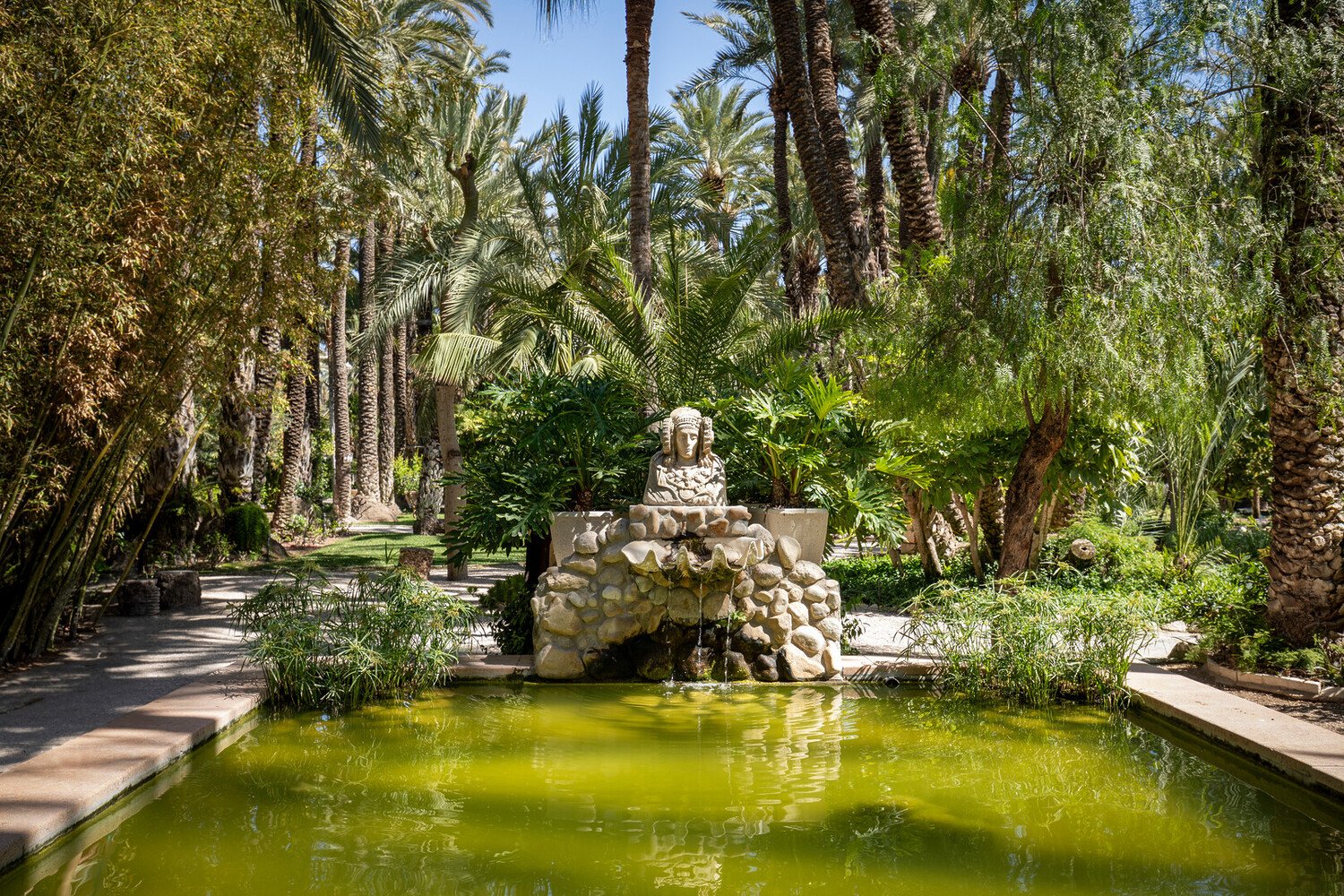 Top Things to Do in Elche: The Essentials For Your Day Trip - 2026 - 6 - things to do in elche things to do in elche - Top Things to Do in Elche: The Essentials For Your Day Trip - 2026 - 5
