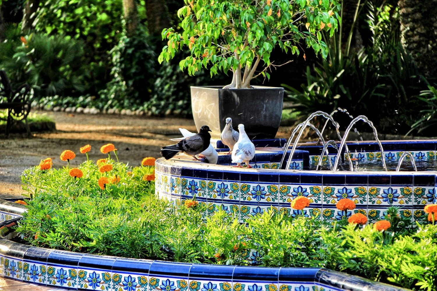 Top Things to Do in Elche: The Essentials For Your Day Trip - 2026 - 14 - things to do in elche things to do in elche - Top Things to Do in Elche: The Essentials For Your Day Trip - 2026 - 13