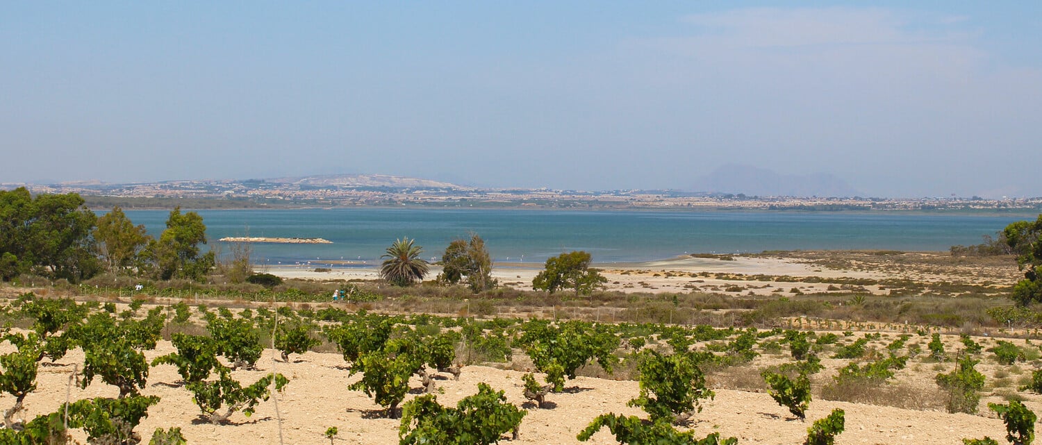 Sun, Salt & Sea: Unmissable Things to Do in Torrevieja - 2026 - 10 - Things to Do in Torrevieja Things to Do in Torrevieja - Sun, Salt & Sea: Unmissable Things to Do in Torrevieja - 2026 - 9