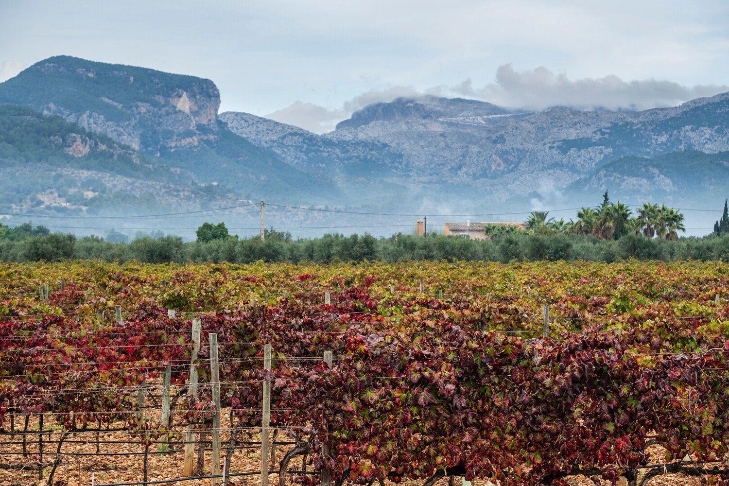 Things to Do in Mahón, the Charming Port Capital of Menorca - 2026 - 24 - Things to Do in Mahon Things to Do in Mahon - Things to Do in Mahón, the Charming Port Capital of Menorca - 2026 - 23