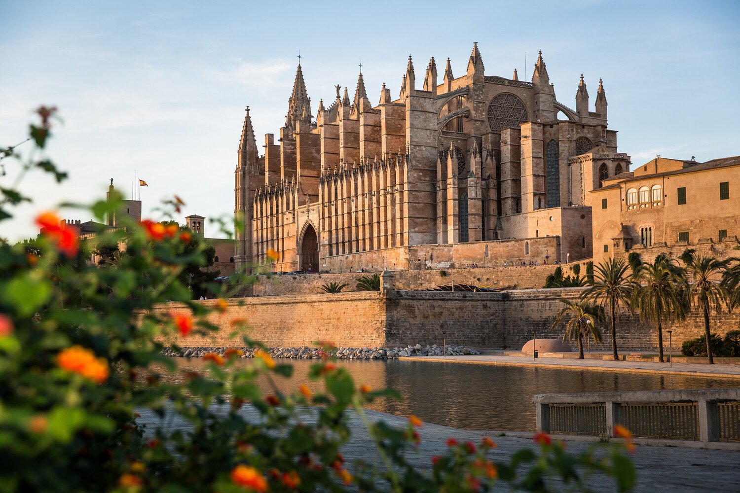 Palma de Mallorca Guide: Best Things to Do in Palma - 2026 - 4 - things to do in Palma de Mallorca things to do in Palma de Mallorca - Palma de Mallorca Guide: Best Things to Do in Palma - 2026 - 3