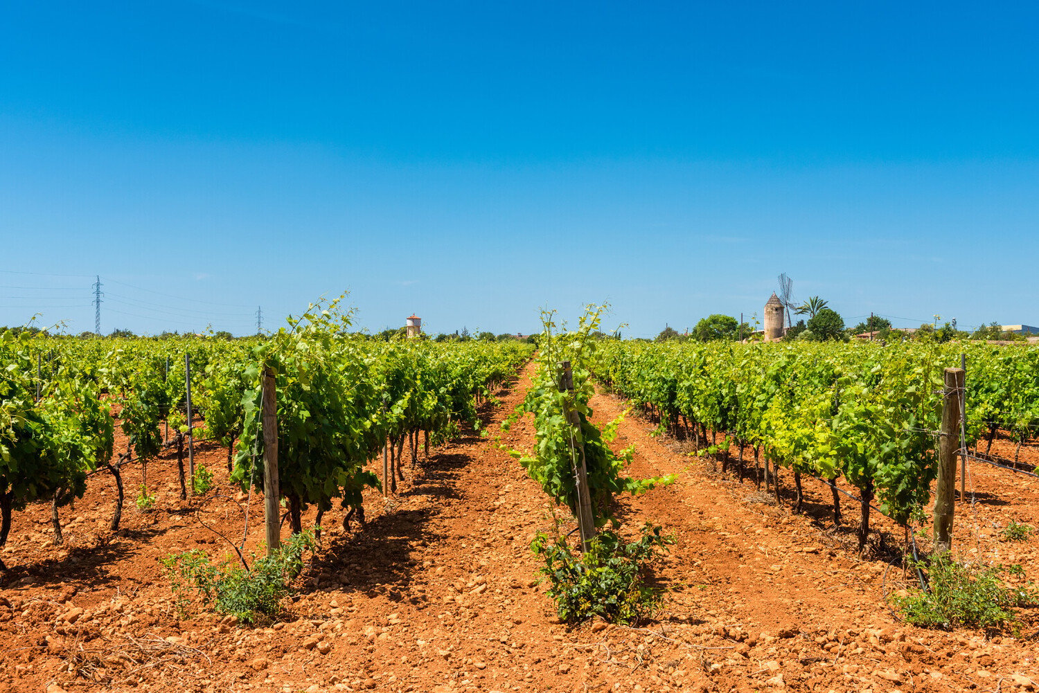Minorque en 7 jours : lieux incontournables et eaux turquoise - 2026 - 24 - Minorque Minorque - Minorque en 7 jours : lieux incontournables et eaux turquoise - 2026 - 23