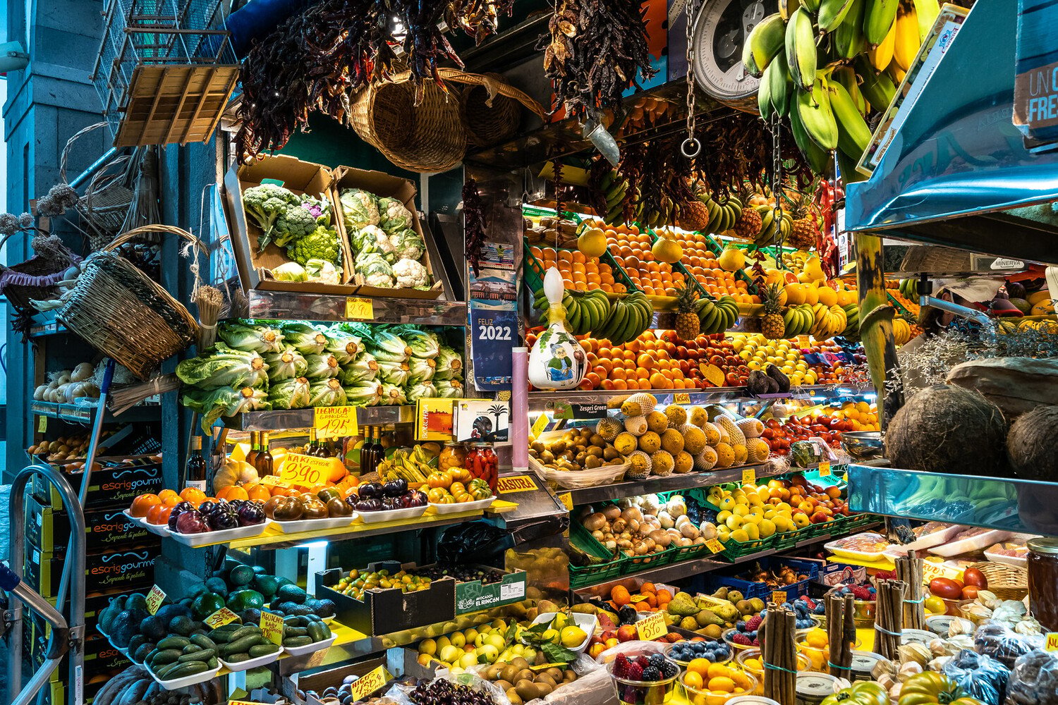 Best Things to Do in Las Palmas de Gran Canaria - 2026 - 10 - things to do in las palmas de gran canaria things to do in las palmas de gran canaria - Best Things to Do in Las Palmas de Gran Canaria - 2026 - 9