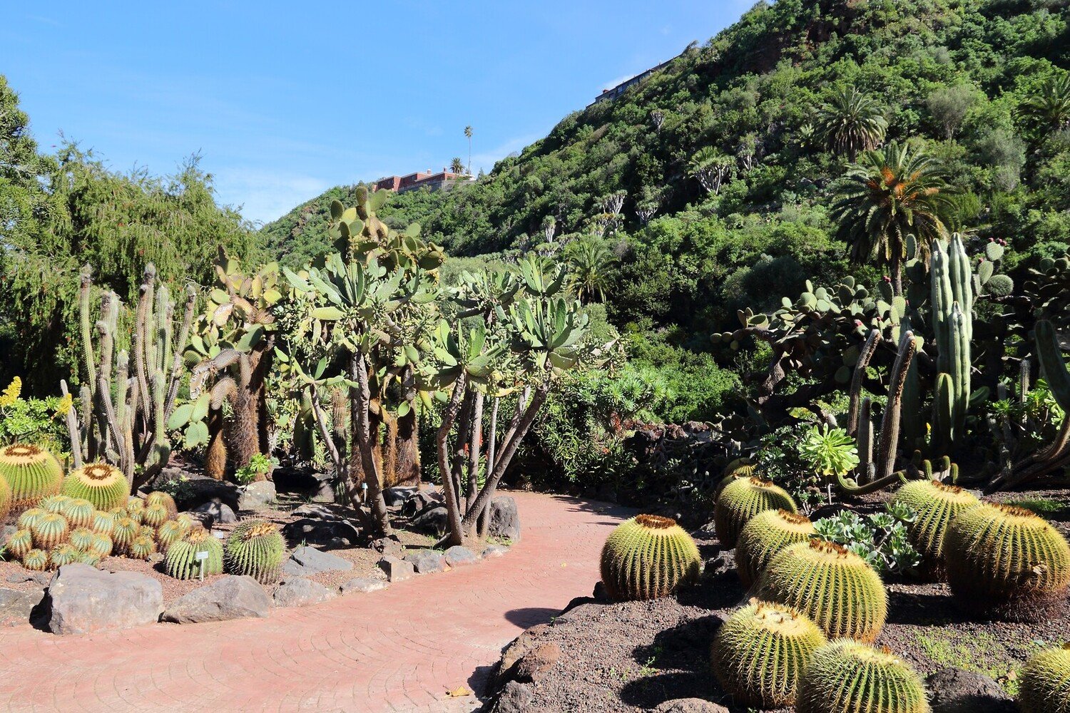 Best Things to Do in Las Palmas de Gran Canaria - 2026 - 14 - things to do in las palmas de gran canaria things to do in las palmas de gran canaria - Best Things to Do in Las Palmas de Gran Canaria - 2026 - 13