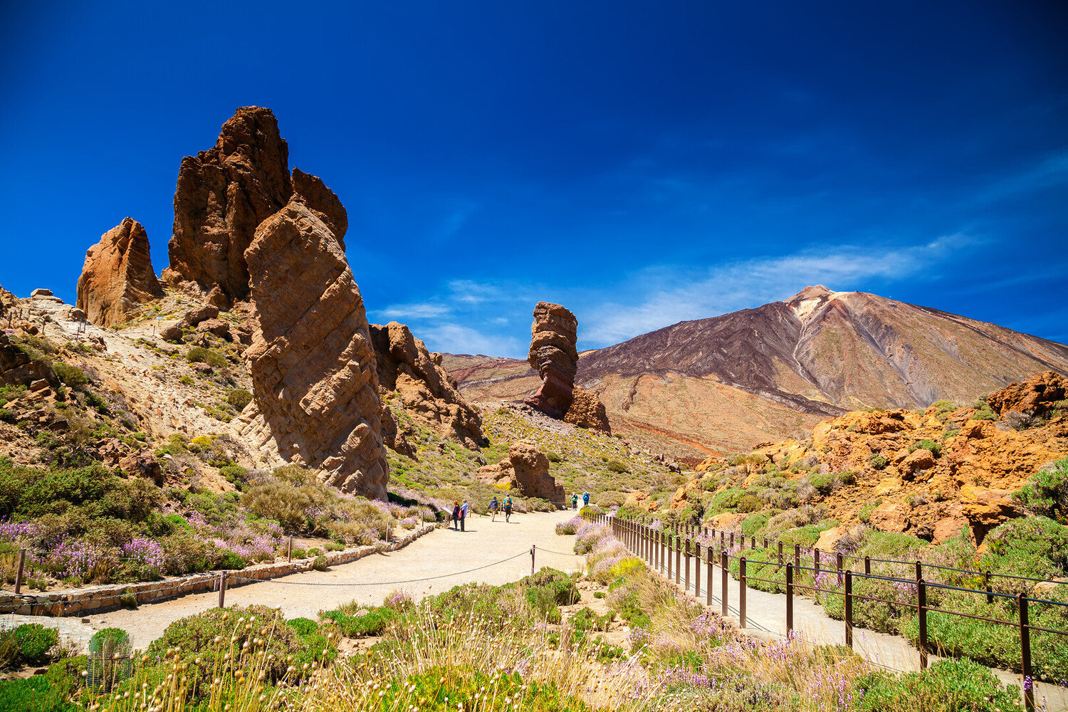 Volcanoes, Villages & Views: The Best Things to Do in Tenerife - 2026 - 4 - things to do in tenerife things to do in tenerife - Volcanoes, Villages & Views: The Best Things to Do in Tenerife - 2026 - 3