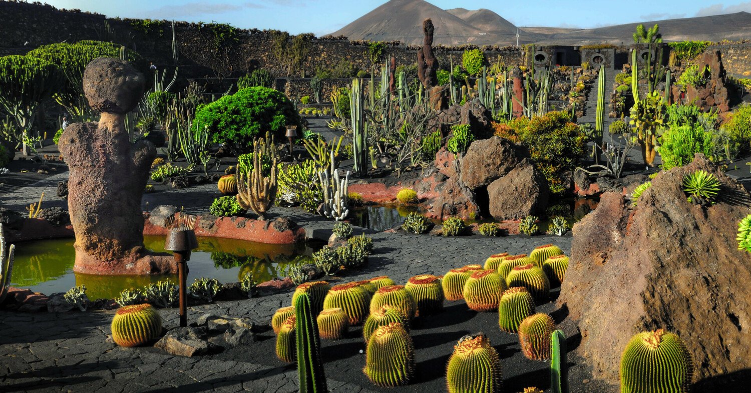 Things to Do in Lanzarote You’ve Never Thought Of - 2026 - 20 - things to do in Lanzarote things to do in Lanzarote - Things to Do in Lanzarote You’ve Never Thought Of - 2026 - 19