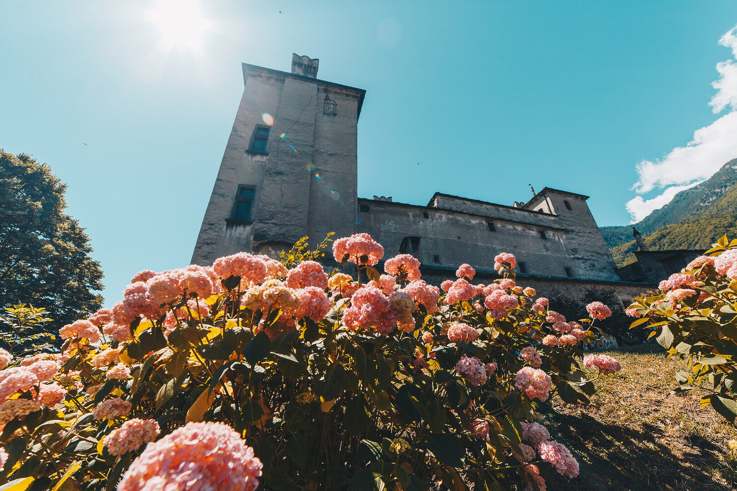Unmissable Things to Do in Aosta: Discover the Capital of the Valley - 2026 - 18 - Things to Do in Aosta Things to Do in Aosta - Unmissable Things to Do in Aosta: Discover the Capital of the Valley - 2026 - 17