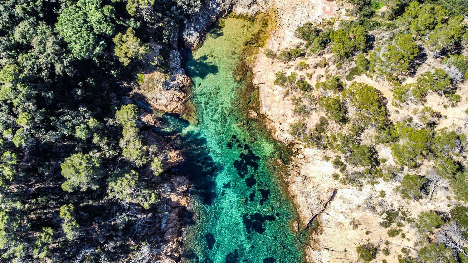 Visiter Tossa de Mar : le trésor de la Costa Brava - 2026 - 14 - tossa de mar tossa de mar - Visiter Tossa de Mar : le trésor de la Costa Brava - 2026 - 13