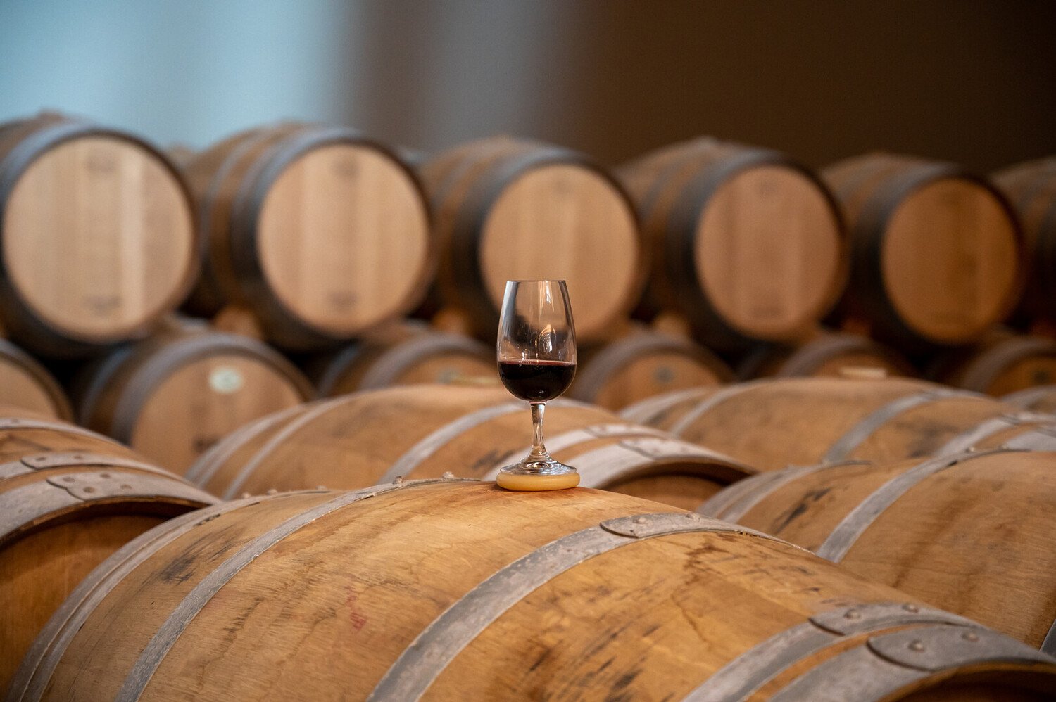 Where Wine Meets Wonder: Top Things to Do in Logroño Spain - 2026 - 24 - Things to Do in Logroño Things to Do in Logroño - Where Wine Meets Wonder: Top Things to Do in Logroño Spain - 2026 - 23