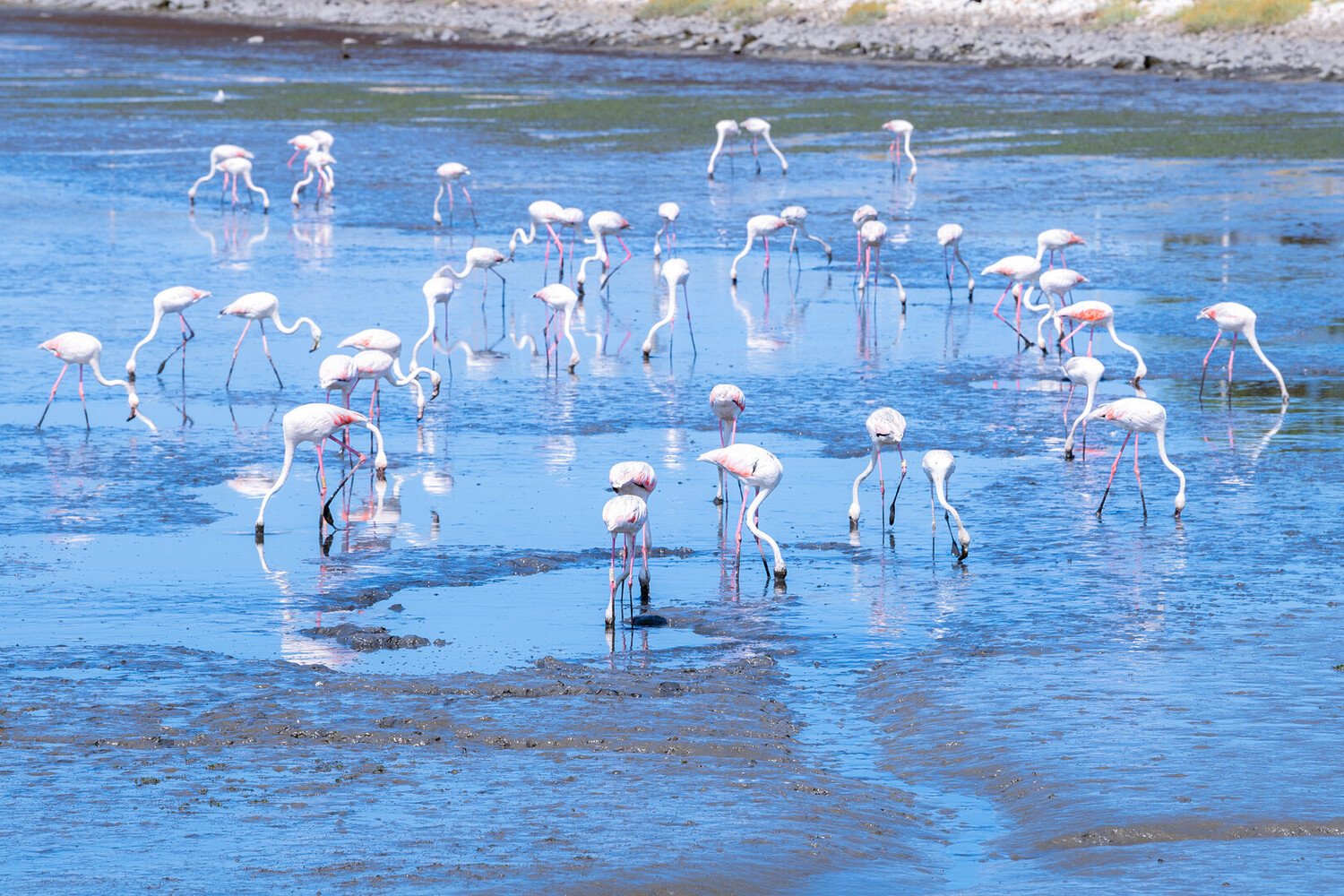 Visiter Sanlúcar de Barrameda : l'échappée œnologique andalouse - 2026 - 24 - Sanlúcar de Barrameda Sanlúcar de Barrameda - Visiter Sanlúcar de Barrameda : l'échappée œnologique andalouse - 2026 - 23