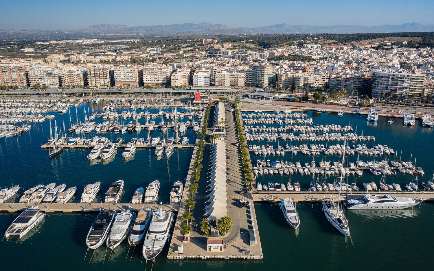 Top Things to Do in Elche: The Essentials For Your Day Trip - 2026 - 24 - things to do in elche things to do in elche - Top Things to Do in Elche: The Essentials For Your Day Trip - 2026 - 23