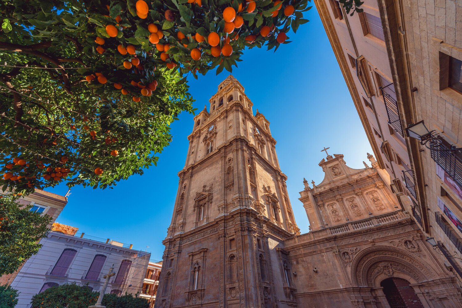 Top Things to Do in Elche: The Essentials For Your Day Trip - 2026 - 30 - things to do in elche things to do in elche - Top Things to Do in Elche: The Essentials For Your Day Trip - 2026 - 29