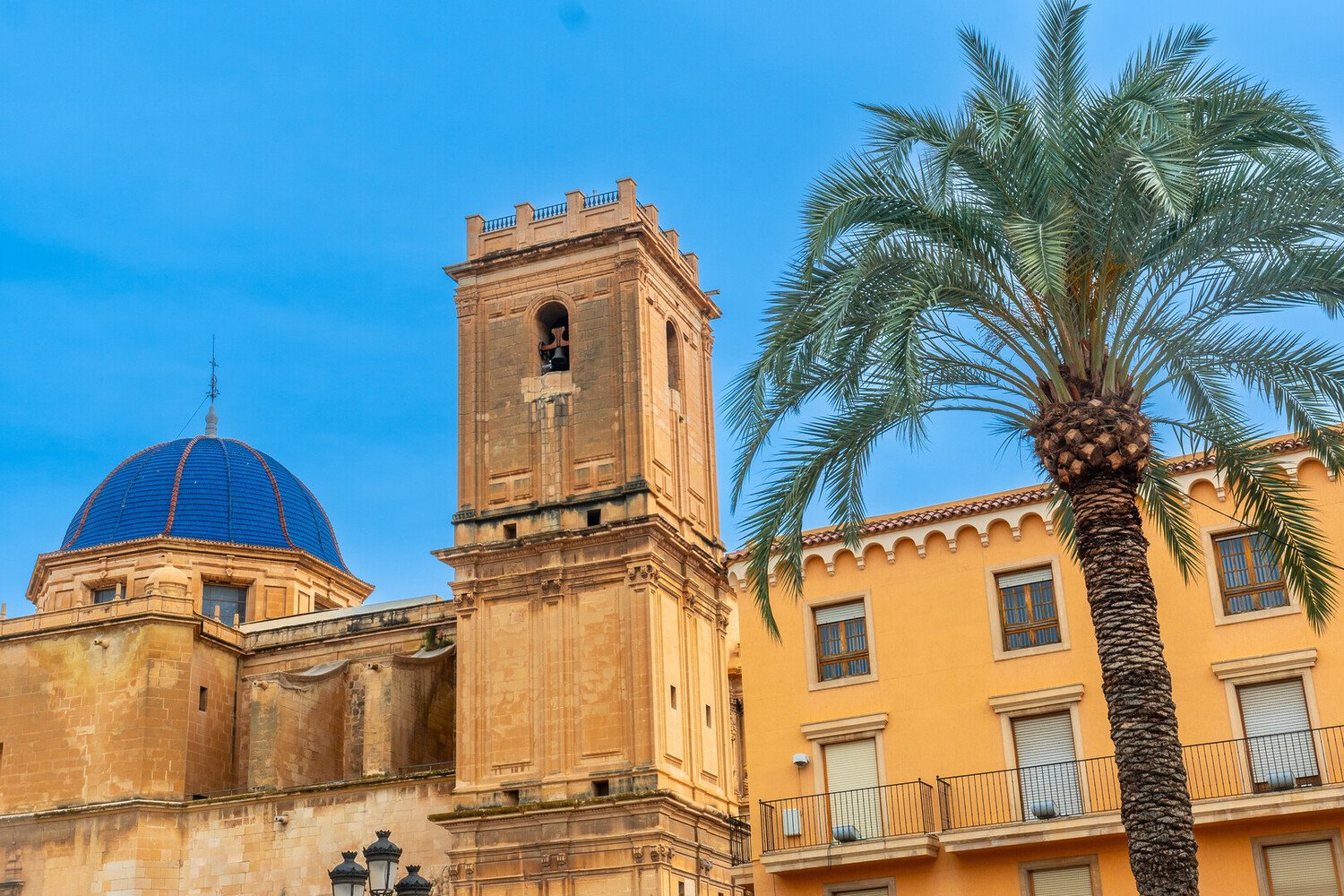 Top Things to Do in Elche: The Essentials For Your Day Trip - 2026 - 10 - things to do in elche things to do in elche - Top Things to Do in Elche: The Essentials For Your Day Trip - 2026 - 9