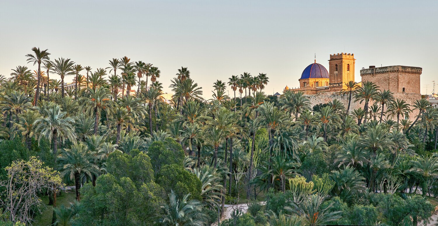 Top Things to Do in Elche: The Essentials For Your Day Trip - 2026 - 2 - things to do in elche things to do in elche - Top Things to Do in Elche: The Essentials For Your Day Trip - 2026 - 1