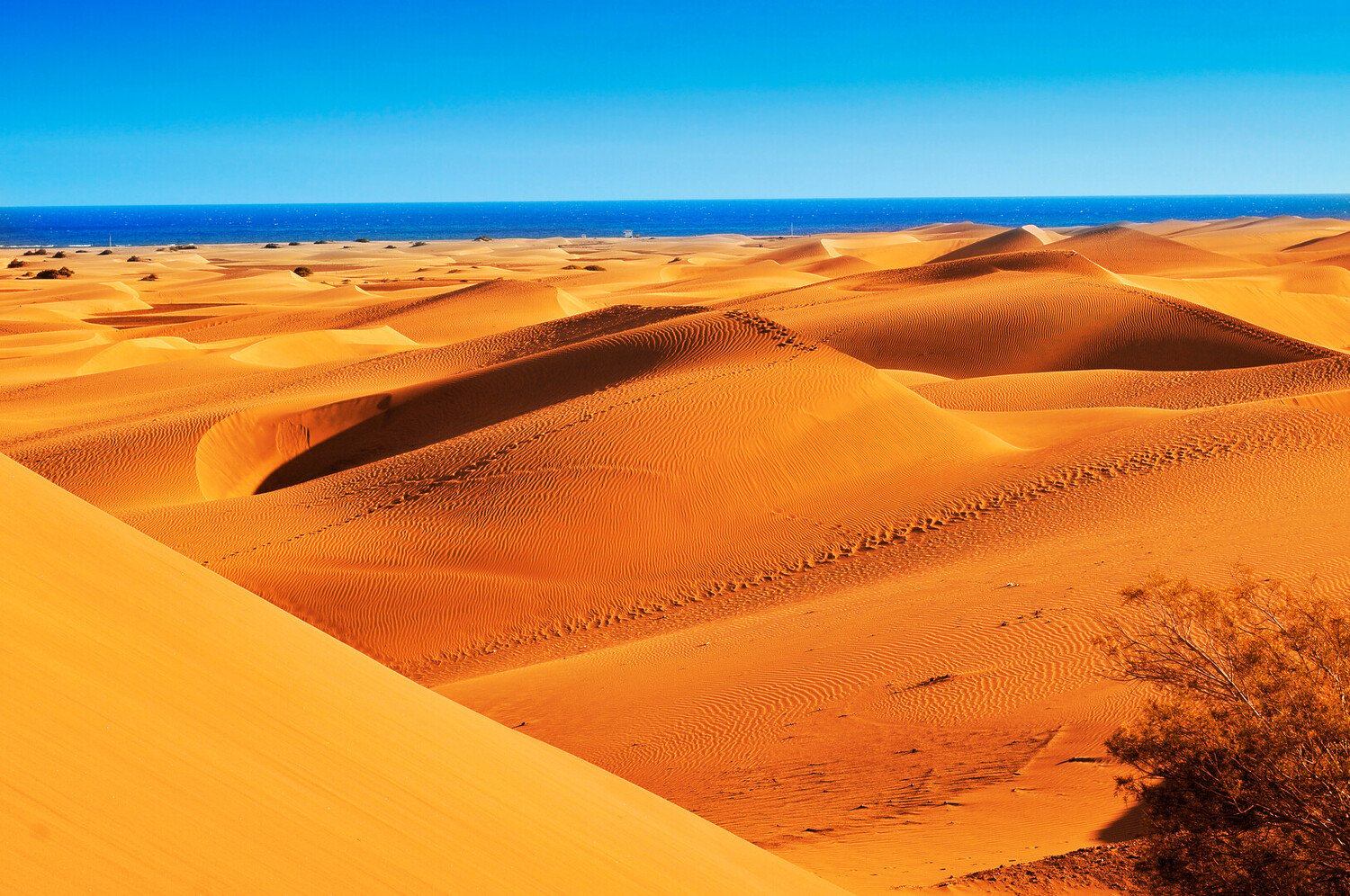 Visiter Maspalomas : Entre luxe, soleil et dunes dorées - 2026 - 4 - maspalomas maspalomas - Visiter Maspalomas : Entre luxe, soleil et dunes dorées - 2026 - 3