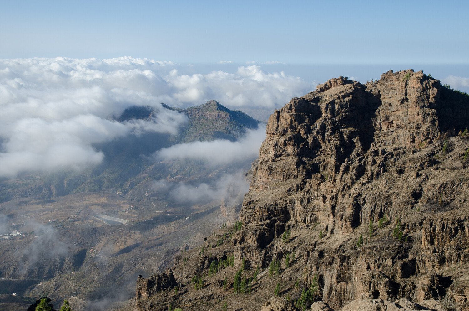 Visiter Maspalomas : Entre luxe, soleil et dunes dorées - 2026 - 14 - maspalomas maspalomas - Visiter Maspalomas : Entre luxe, soleil et dunes dorées - 2026 - 13