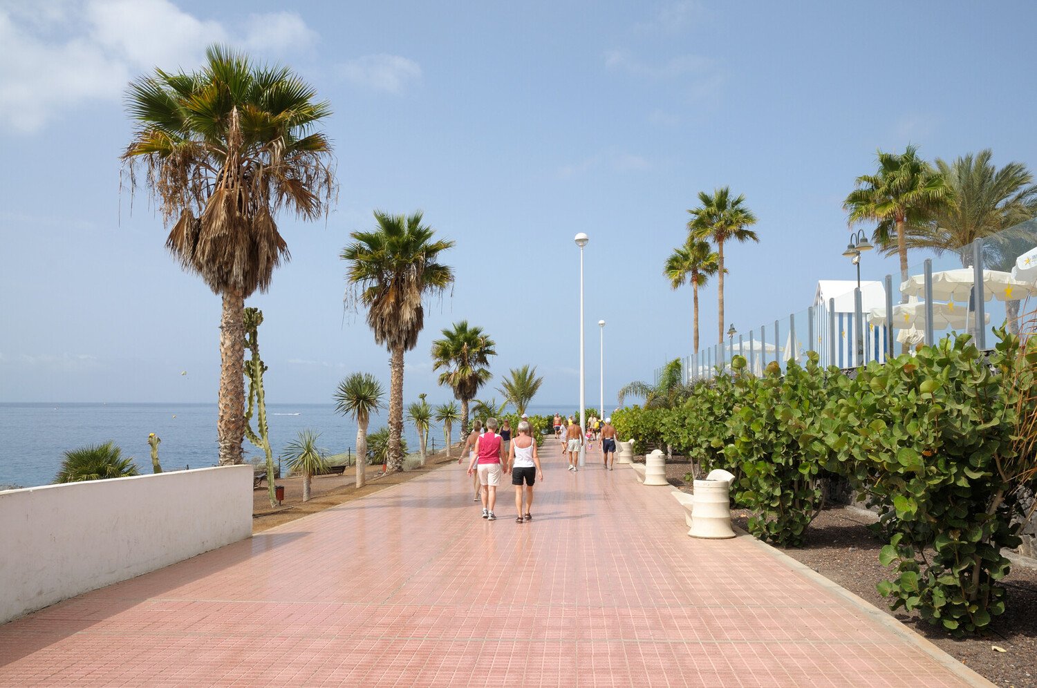 Ultimate Travel Guide: Visit Costa Adeje - 2026 - 10 - visit costa adeje visit costa adeje - Ultimate Travel Guide: Visit Costa Adeje - 2026 - 9