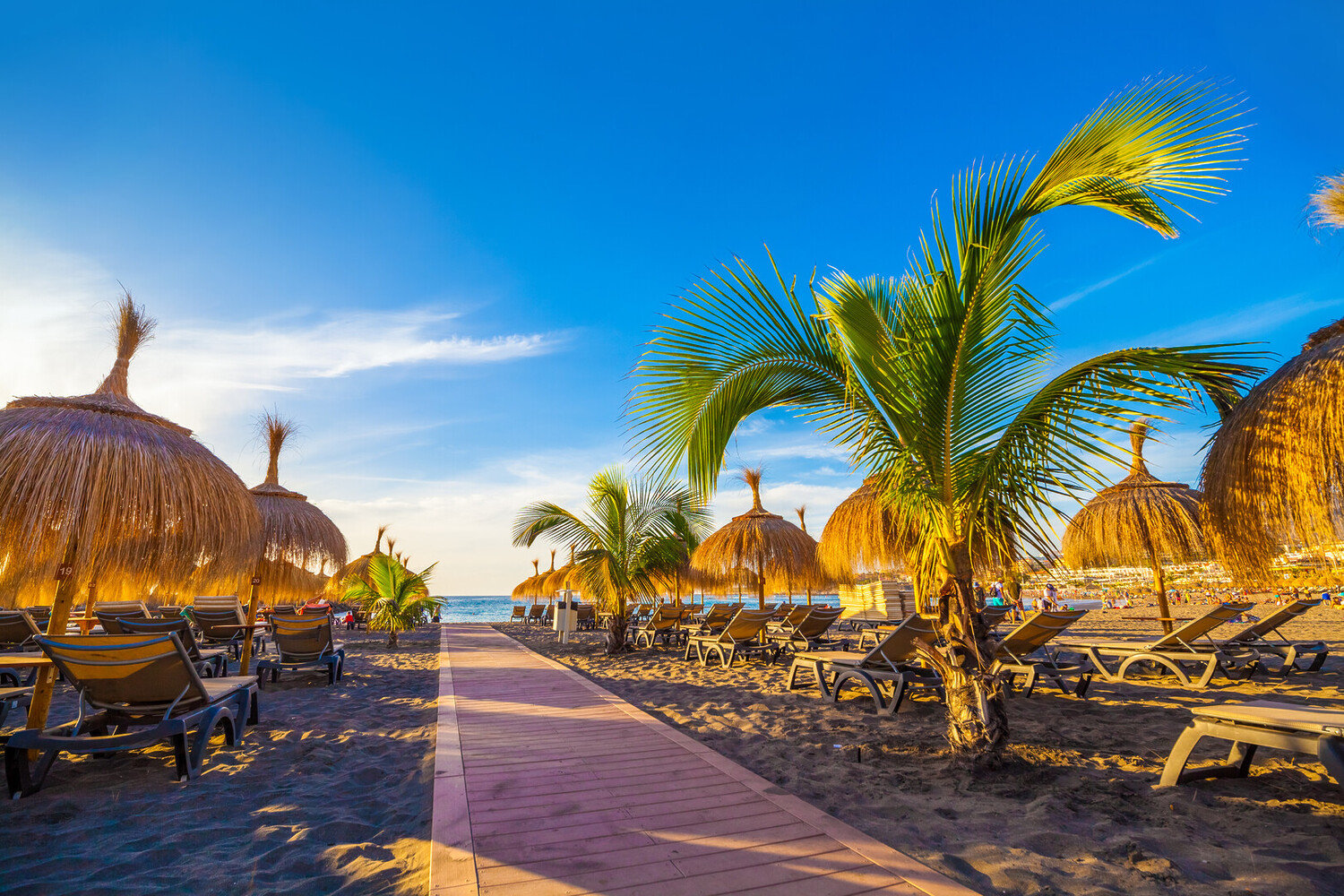 Ultimate Travel Guide: Visit Costa Adeje - 2026 - 12 - visit costa adeje visit costa adeje - Ultimate Travel Guide: Visit Costa Adeje - 2026 - 11