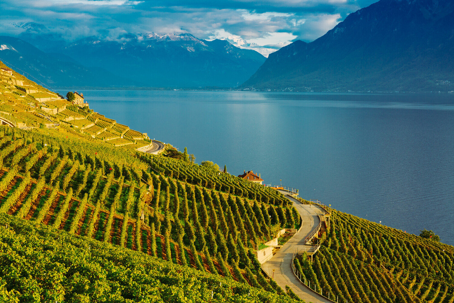 Things to Do in Vevey Switzerland: Charlie Chaplin & Lakeside - 2026 - 16 - Things to Do in Vevey Things to Do in Vevey - Things to Do in Vevey Switzerland: Charlie Chaplin & Lakeside - 2026 - 15