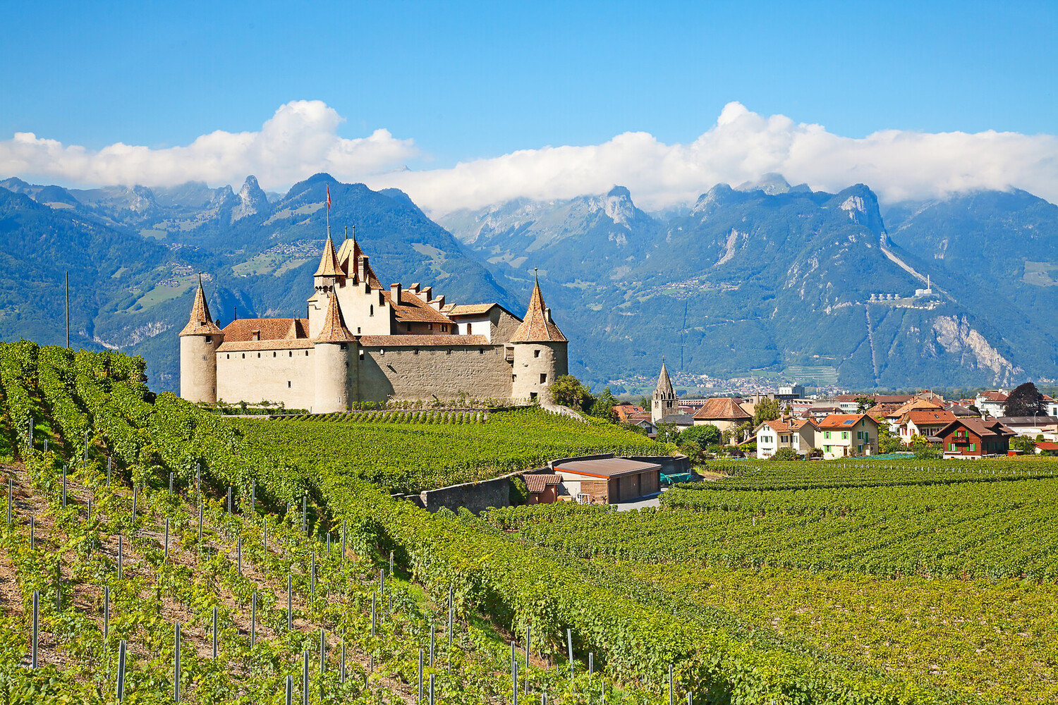 Things to Do in Vevey Switzerland: Charlie Chaplin & Lakeside - 2026 - 24 - Things to Do in Vevey Things to Do in Vevey - Things to Do in Vevey Switzerland: Charlie Chaplin & Lakeside - 2026 - 23