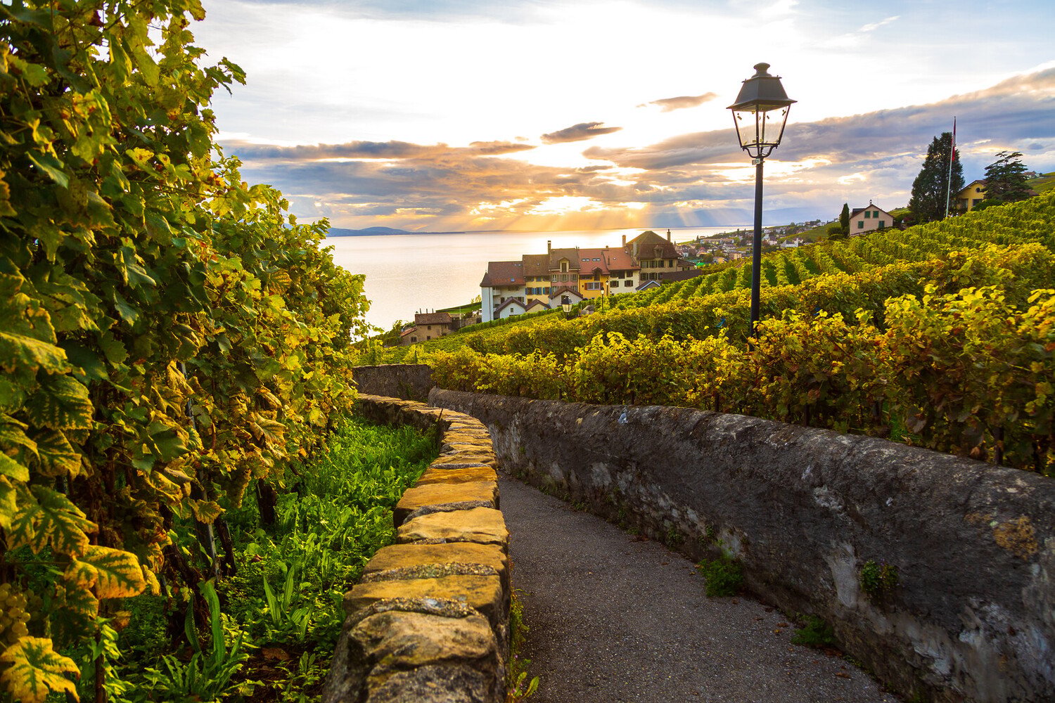 Bes Things to Do in Nyon Switzerland: Uncover the Treasure - 2026 - 14 - things to do in nyon things to do in nyon - Bes Things to Do in Nyon Switzerland: Uncover the Treasure - 2026 - 13