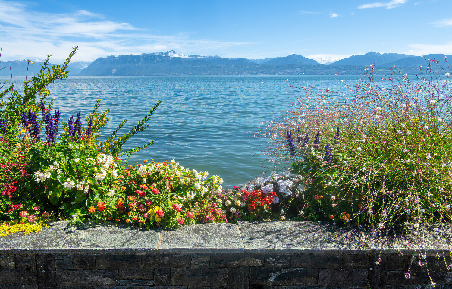 Things to Do in Morges Switzerland: Your Next Journey - 2026 - 8 - things to do in morges things to do in morges - Things to Do in Morges Switzerland: Your Next Journey - 2026 - 7