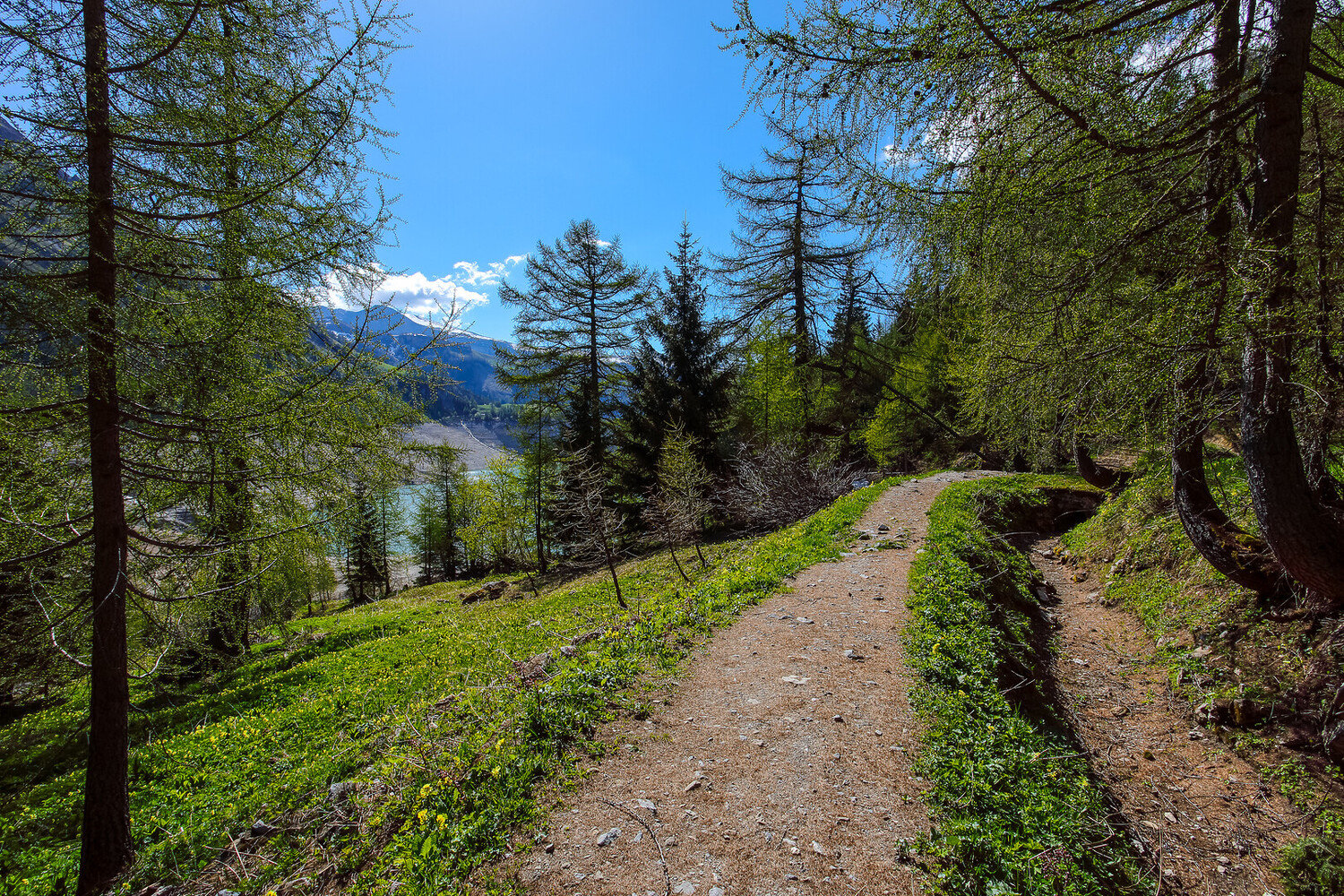 Top Things To Do in Sion Switzerland: An Unforgettable Trip - 2026 - 12 - Things To Do in Sion Things To Do in Sion - Top Things To Do in Sion Switzerland: An Unforgettable Trip - 2026 - 11