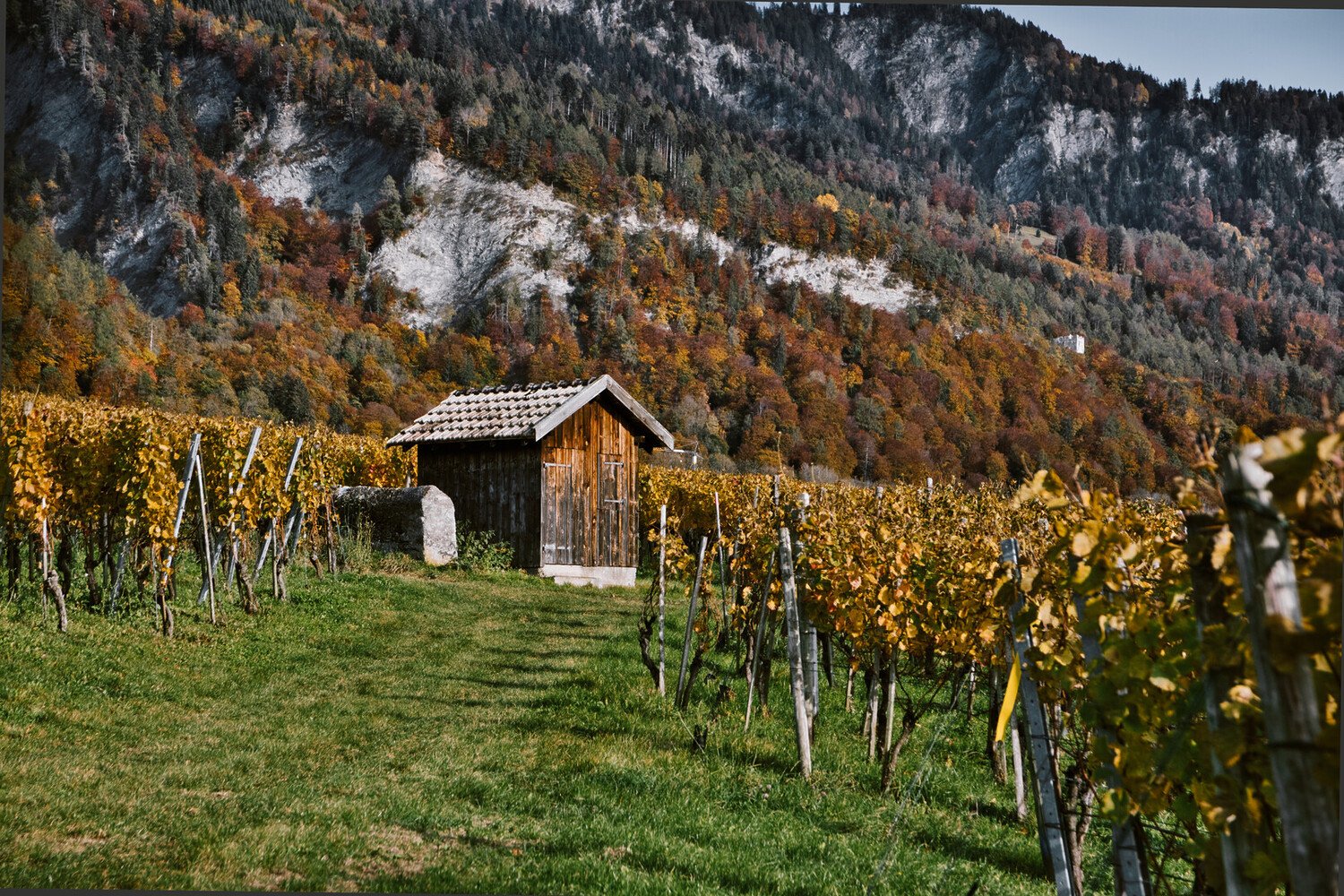 Que faire à Bad Ragaz : Voyage au coeur de la Suisse orientale - 2026 - 12 - bad ragaz bad ragaz - Que faire à Bad Ragaz : Voyage au coeur de la Suisse orientale - 2026 - 11