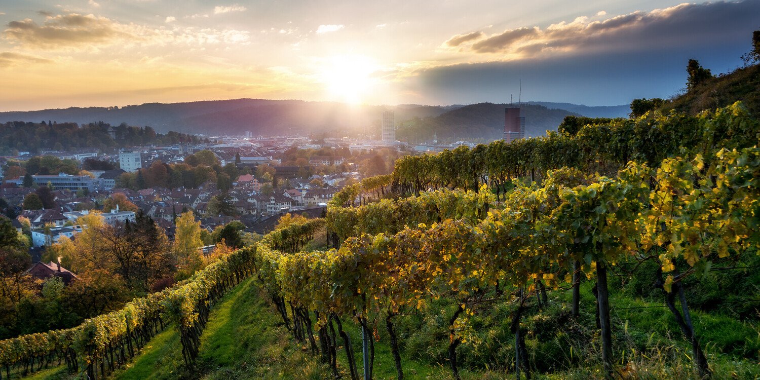 Top Things to Do in Winterthur Switzerland: Your Day Trip - 2026 - 8 - Things to Do in Winterthur Things to Do in Winterthur - Top Things to Do in Winterthur Switzerland: Your Day Trip - 2026 - 7