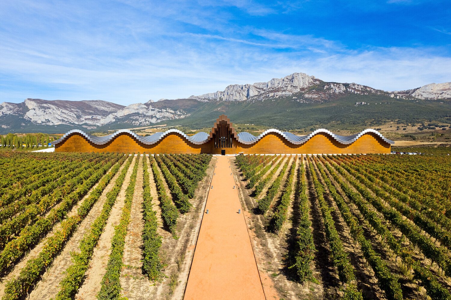 Top Things to Do in Bilbao: Plan Your Next Trip - 2026 - 23 - things to do in bilbao things to do in bilbao - Top Things to Do in Bilbao: Plan Your Next Trip - 2026 - 22