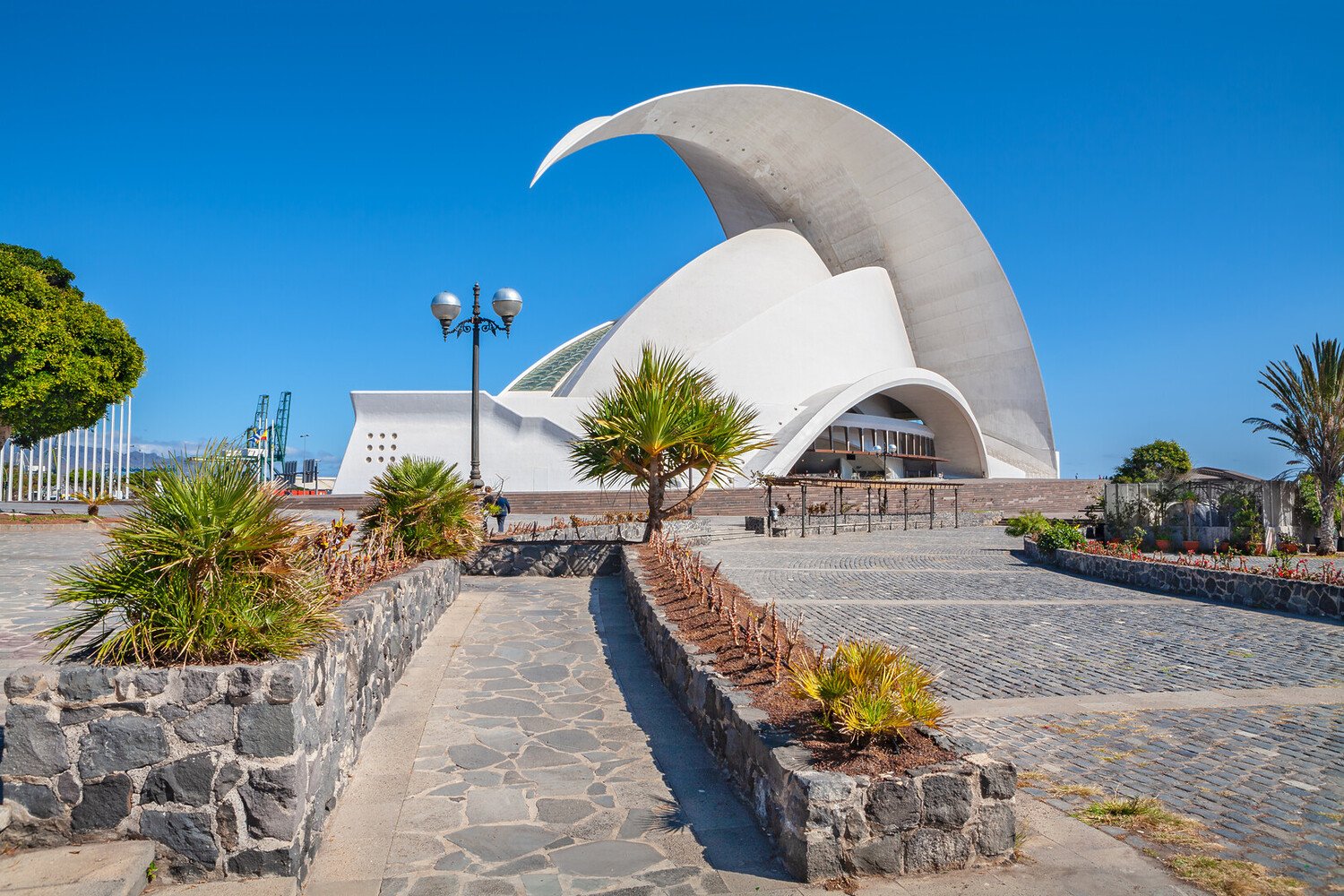 Best Things to Do in Santa Cruz de Tenerife: Must-See Activities - 2026 - 4 - things to do in santa cruz de tenerife things to do in santa cruz de tenerife - Best Things to Do in Santa Cruz de Tenerife: Must-See Activities - 2026 - 3