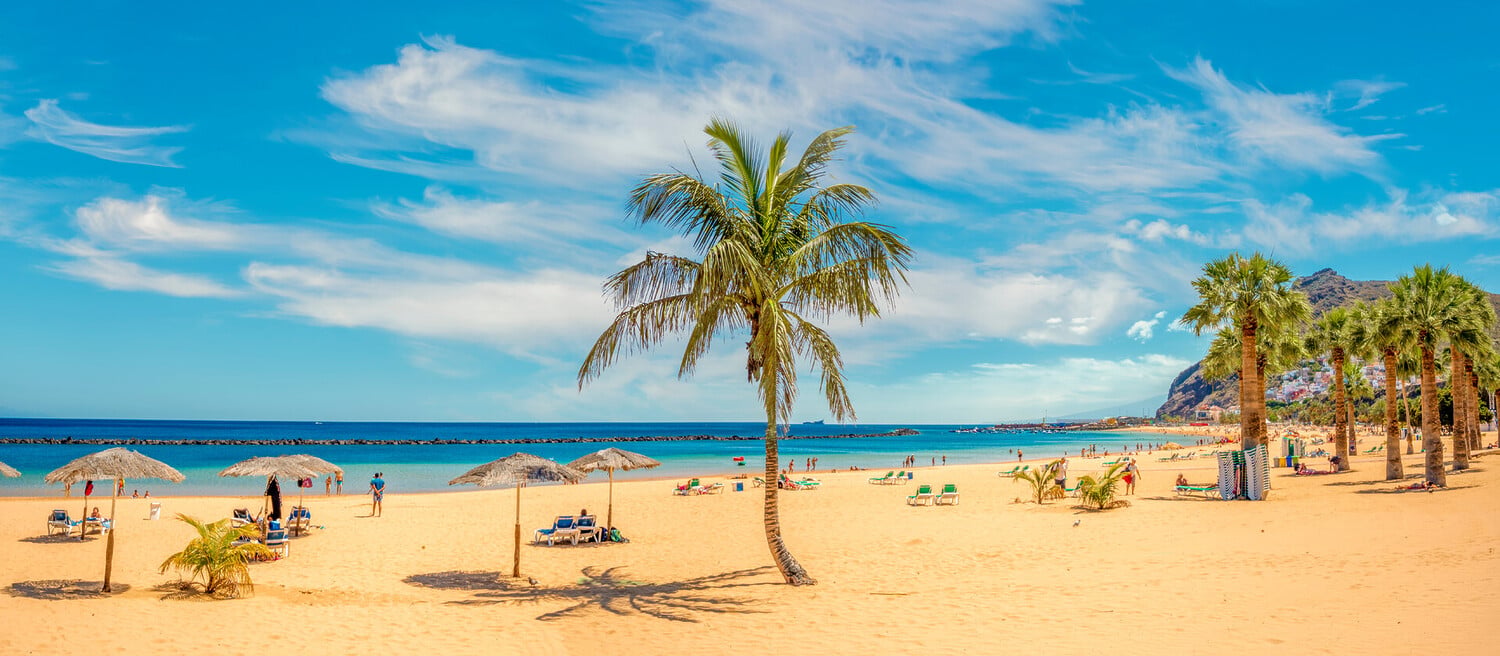 Best Things to Do in Santa Cruz de Tenerife: Must-See Activities - 2026 - 12 - things to do in santa cruz de tenerife things to do in santa cruz de tenerife - Best Things to Do in Santa Cruz de Tenerife: Must-See Activities - 2026 - 11