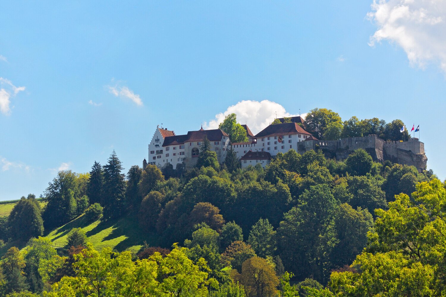 Que faire à Aarau : Guide complet pour une escapade réussie - 2026 - 18 - aarau aarau - Que faire à Aarau : Guide complet pour une escapade réussie - 2026 - 17