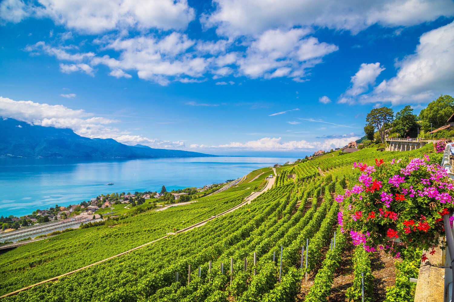 The Best Things to Do in Geneva Switzerland: What You Can't Miss - 2026 - 18 - things to do in geneva things to do in geneva - The Best Things to Do in Geneva Switzerland: What You Can't Miss - 2026 - 17