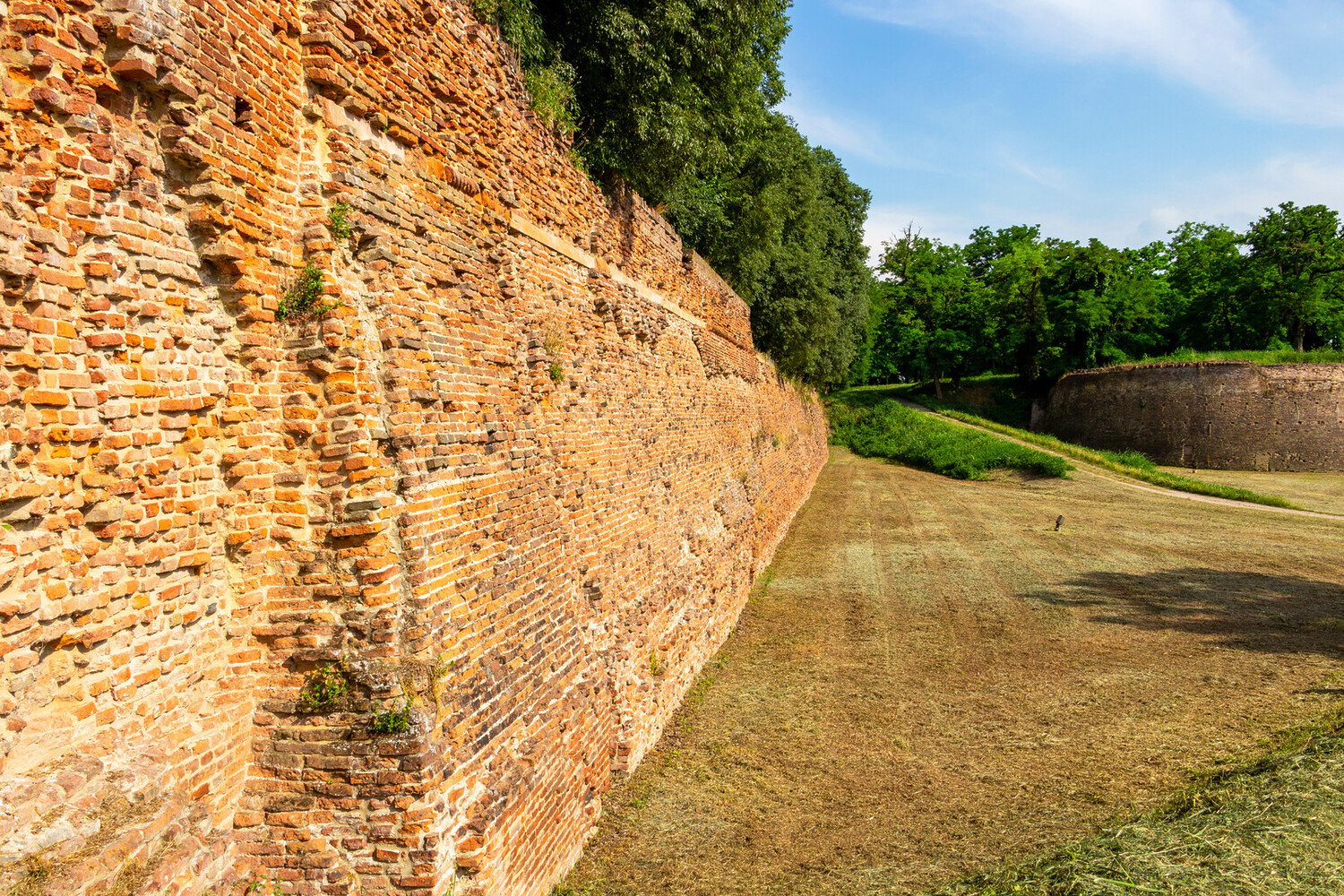 Visit Ferrara Italy: Top Things to Do and Must-See Activities - 2026 - 10 - Visit Ferrara Visit Ferrara - Visit Ferrara Italy: Top Things to Do and Must-See Activities - 2026 - 9
