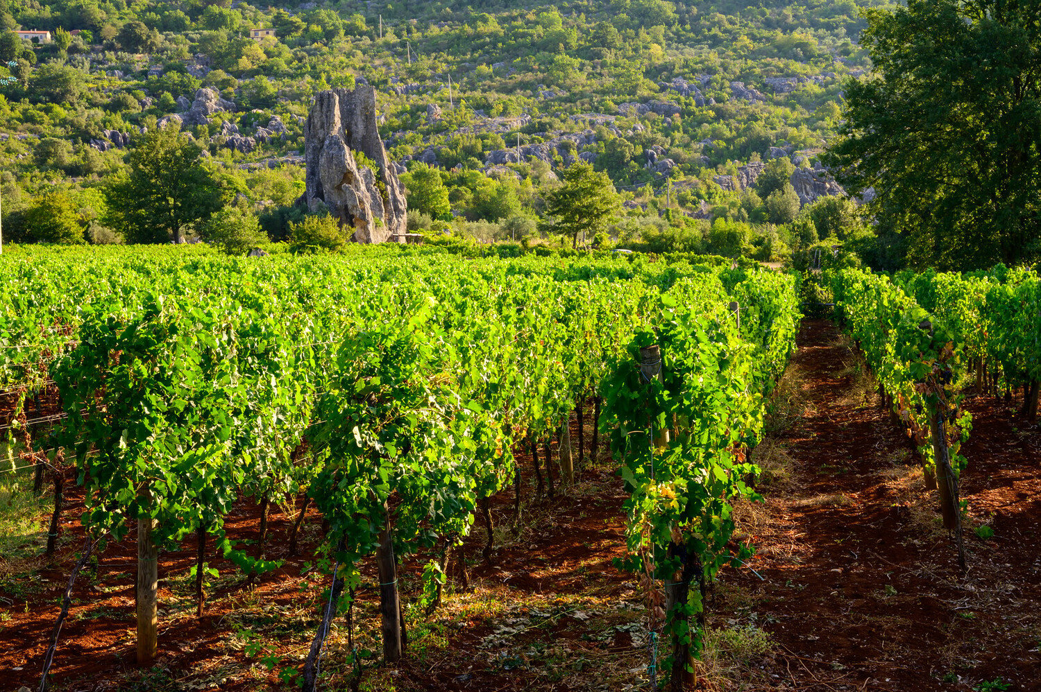 Visitez Tivoli en Italie : une escapade intemporelle - 2025-2020 - Visitez Tivoli Visitez Tivoli - Visitez Tivoli Italie : une escapade intemporelle - 2025 - 19