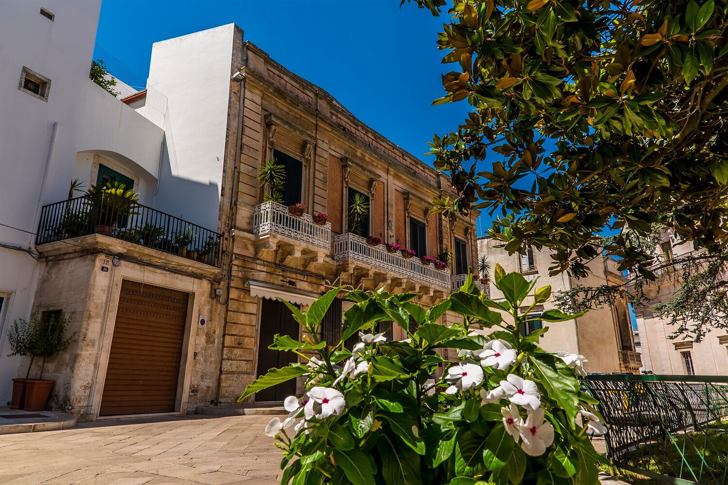 Visiter Martina Franca : Perle baroque de la province de Taranto - 2026 - 12 - martina franca martina franca - Visiter Martina Franca : Perle baroque de la province de Taranto - 2026 - 11