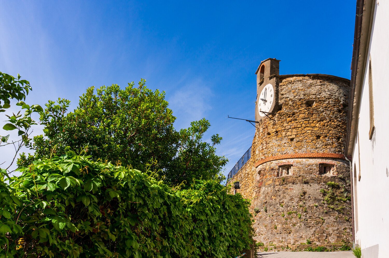 Que faire à Riomaggiore : Guide complet pour visiter le village le plus pittoresque des Cinque Terre - 2026 - 12 - riomaggiore riomaggiore - Que faire à Riomaggiore : Guide complet pour visiter le village le plus pittoresque des Cinque Terre - 2026 - 11