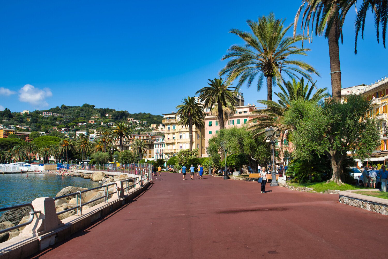 Visiter Rapallo : Perle de la Riviera ligure entre histoire et bord de mer - 2026 - 4 - rapallo rapallo - Visiter Rapallo : Perle de la Riviera ligure entre histoire et bord de mer - 2026 - 3