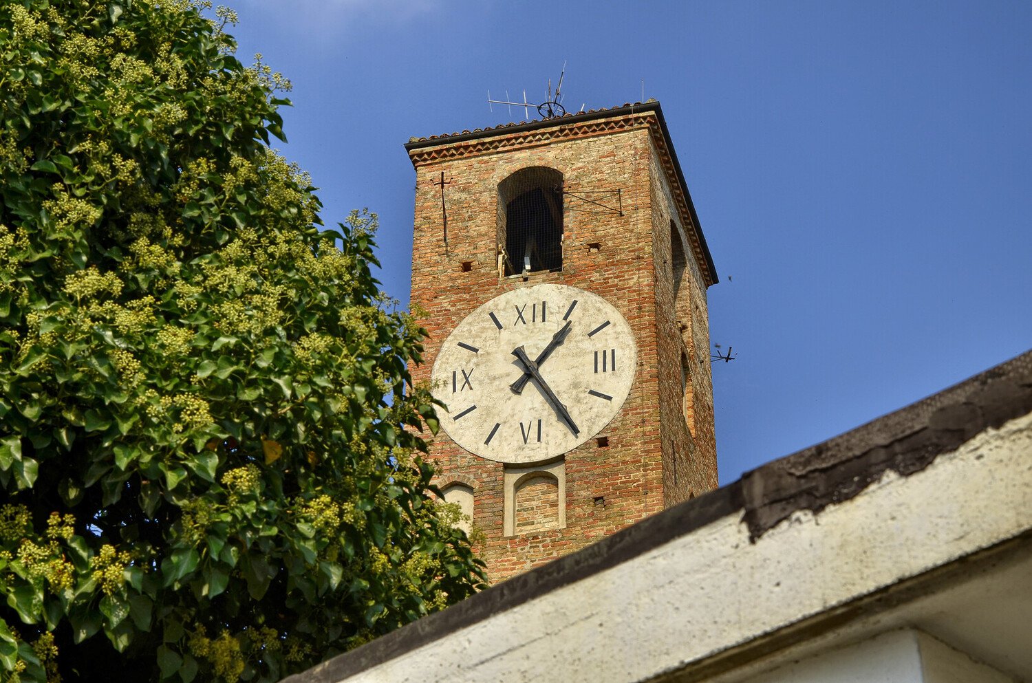 Visiter Neive : Trésor viticole du Piémont en Italie - 2026 - 8 - neive neive - Visiter Neive : Trésor viticole du Piémont en Italie - 2026 - 7