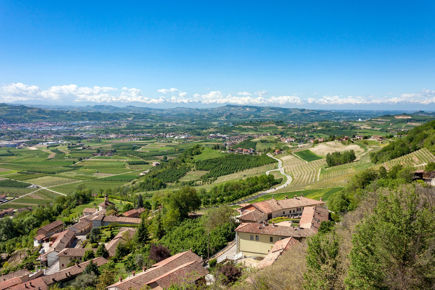 Visit Asti Italy: Unmissable Things to Do and See - 2026 - 10 - Visit Asti Visit Asti - Visit Asti Italy: Unmissable Things to Do and See - 2026 - 9