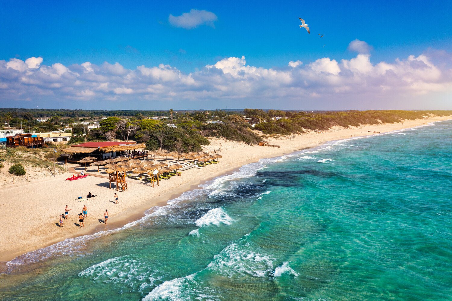 Discover the Best Day Trips from Lecce Italy - 2026 - 12 - Day Trips from Lecce Day Trips from Lecce - Discover the Best Day Trips from Lecce Italy - 2026 - 11