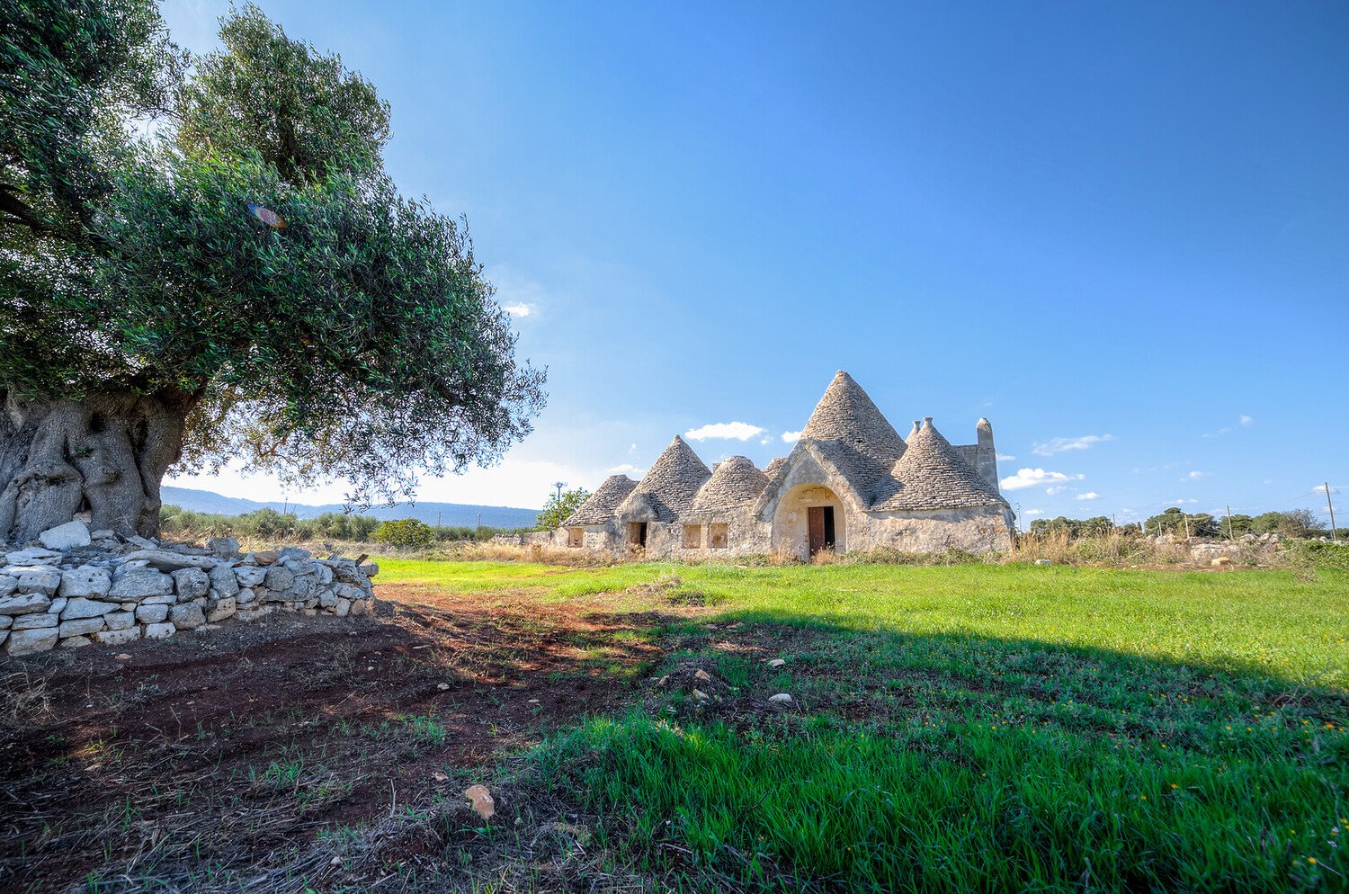 Day Trips from Bari: Discover Italy Like Never Before - 2026 - 18 - day trips from bari day trips from bari - Day Trips from Bari: Discover Italy Like Never Before - 2026 - 17