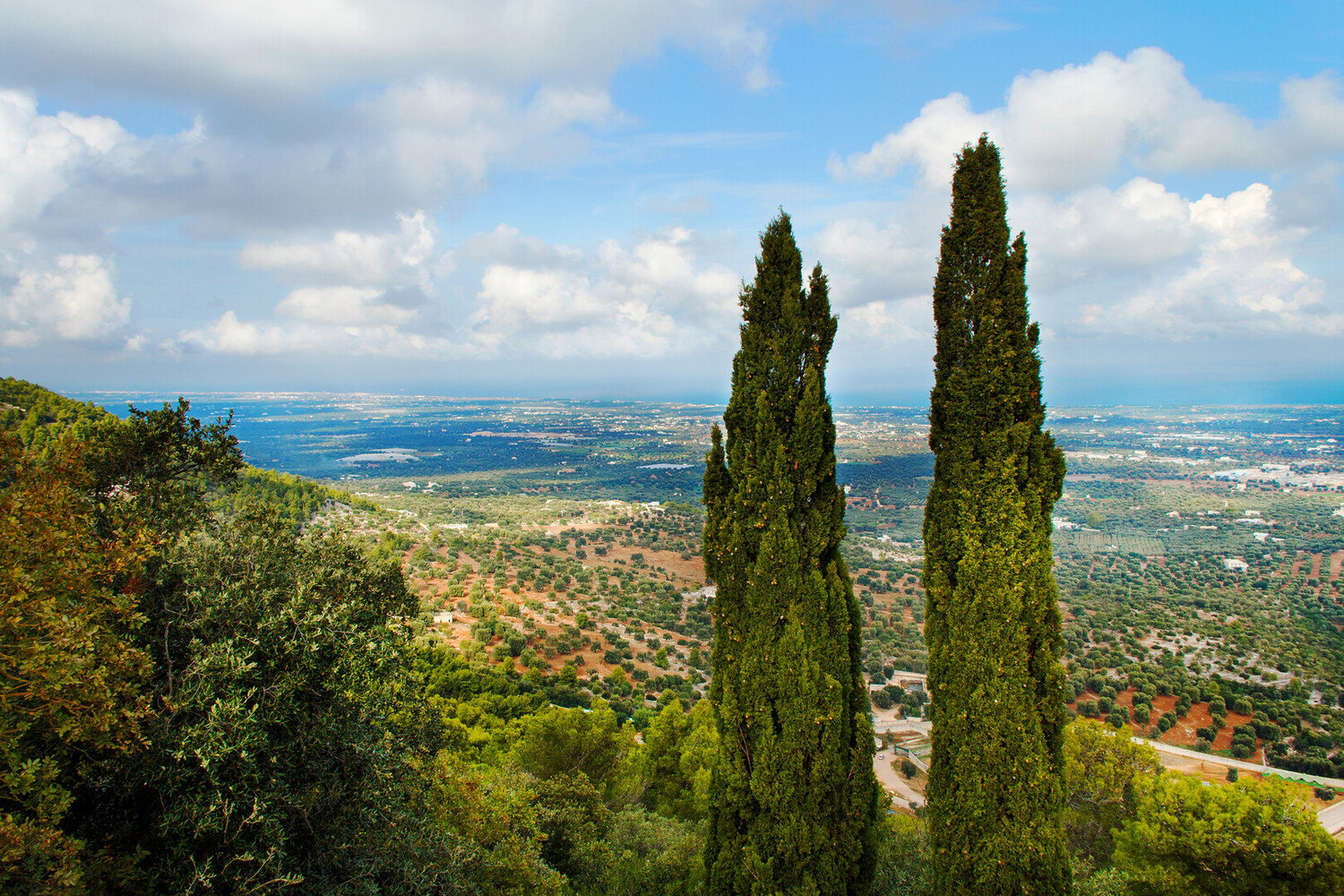 Visiter Cisternino : Guide complet du joyau blanc de la Vallée d’Itria - 2026 - 14 - cisternino cisternino - Visiter Cisternino : Guide complet du joyau blanc de la Vallée d’Itria - 2026 - 13