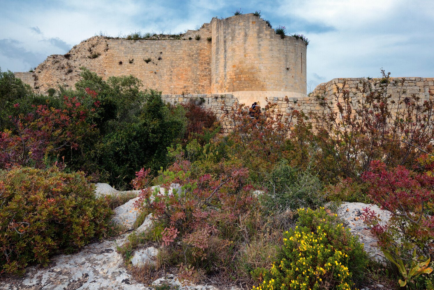 Visiter Noto : Joyau baroque du Val di Noto, Sicile - 2026 - 20 - noto noto - Visiter Noto : Joyau baroque du Val di Noto, Sicile - 2026 - 19