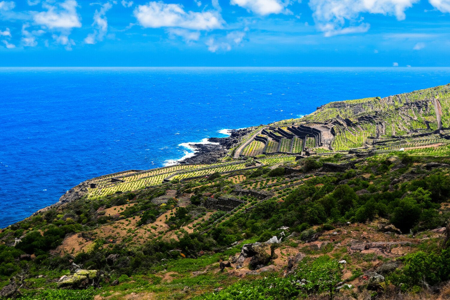 Visit Pantelleria Italy: Plan Your Perfect Island Itinerary - 2026 - 2 - Visit Pantelleria Visit Pantelleria - Visit Pantelleria Italy: Plan Your Perfect Island Itinerary - 2026 - 1